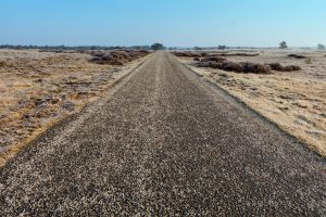 Empty Road Through Veluwe Heathland In Winter.