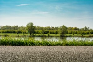 dyke with asphalt and long grass in focus close up on the top